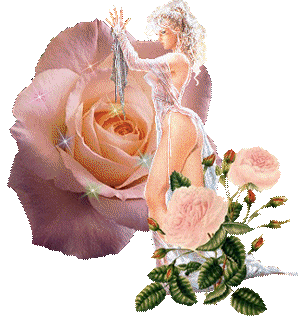 roserose